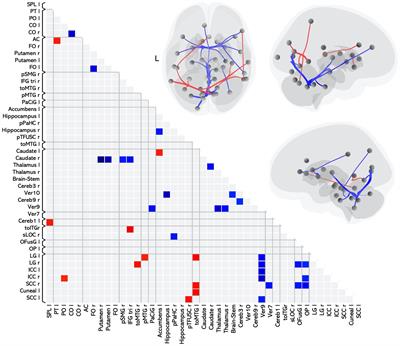 Differences in resting state functional connectivity relative to multiple sclerosis and impaired information processing speed